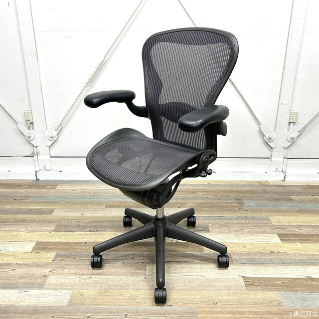 【送料無料 】Herman Miller ハーマンミラー アーロンチェア フル装備 ランバーサポート Bサイズ パープル AE123AWB