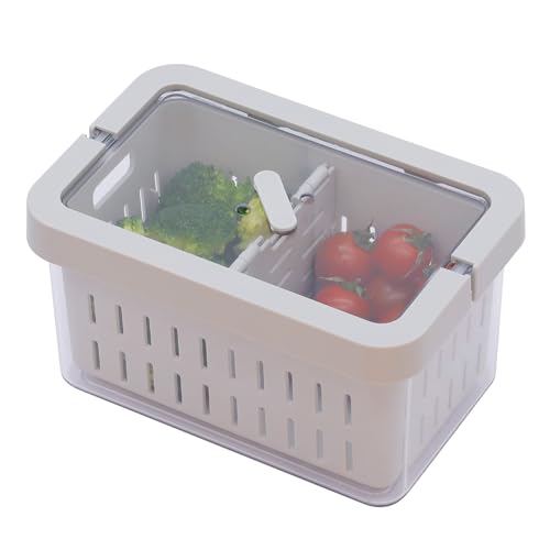 シービージャパン 保存容器 容量2L 野菜の水切りができるザル付き 冷蔵庫保存 空気の入れ替えできる換気口 野菜に優しいザル付き保存容 　送料無料