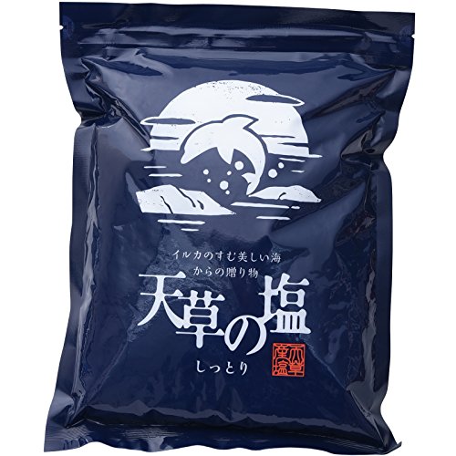 九電産業 天草の塩 しっとり 1000g 　送料無料