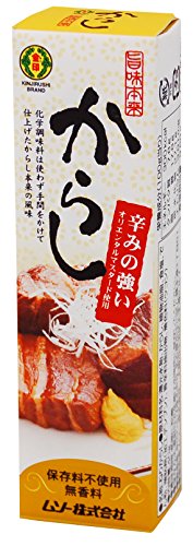 ムソー 旨味本来・からしチューブ入り 40g 　送料無料