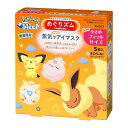 めぐりズム蒸気でホットアイマスク PoKeMoN企画品 5枚入 小さめ 送料無料