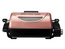 コイズミ フィッシュロースター 魚焼きグリル 両面ヒーター 30分タイマー 消臭フィルター付き ゴールド KFR-0700/N 送料無料