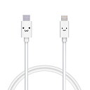 エレコム(ELECOM) Type-C to Lightningケーブル (USB PD対応) ライトニング iPhone 充電ケーブ 送料無料
