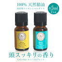 【送料無料】100%天然精油 高品質 精油認知症予防・改善 頭スッキリアロマ 2本セットエッセンシャルオイルアロマオイル アロマ ブレンドオイル 精油セット売り プレゼント 敬老の日 プレゼント 孫 おじいちゃん おばあちゃん 誕生日プレゼント