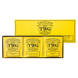 お歳暮　御歳暮　紅茶　送料無料　≪TWG Tea≫Moon ＆ Sky Tea Selection（PACKTB9005） ｜東急百貨店　（お歳暮　2022）のサムネイル