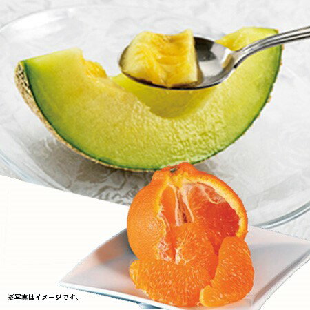 母の日 ギフト H043 【ネット限定】 高知県産 アールスメロンと熊本県産 デコポン (*)