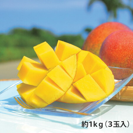 ■1kg（3玉入）■南国で輝く太陽を浴びて育ったマンゴは、芳醇な香りで、とろけるようになめらかです。