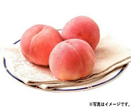 母の日 ギフト プレゼント H013 山梨県産 ハウスもも