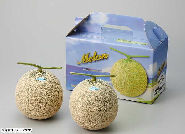 2025年 夏ギフト お中元 B010 愛知県産JAひまわり 大玉アールスメロン 【6月下旬より順次発送】 (*)