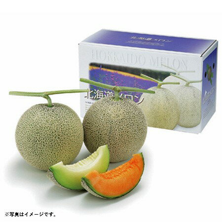 2025年 夏ギフト お中元 B012 北海道産 メロンセット 【7月上旬より順次発送】 (*)