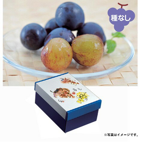 2025年 夏ギフト お中元 B030　山梨県産　ニューピオーネ 【7月上旬より順次発送】 (*)