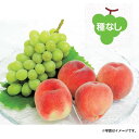 2025年 夏ギフト お中元 B031 山梨県産 シャインマスカットともも 【7月中旬より順次発送】 (*)