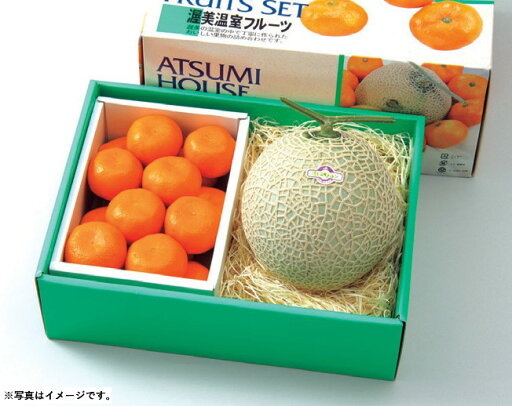 2025年 夏ギフト お中元 B035 愛知県産JA愛知みなみ 渥美メロンとハウスみかん 【6月下旬より順次発送】 (*) 2025年 夏ギフト お中元 B035 愛知県産JA愛知みなみ 渥美メロンとハウスみかん 【6月下旬より順次発送】 (*)