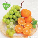 2025年 夏ギフト お中元 B036 佐賀県産ハウスみかんと山梨県産シャインマスカット 【7月中旬より順次発送】 (*)