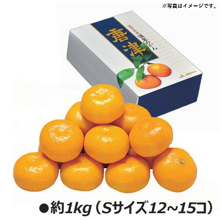 2026年 夏ギフト お中元 B004 佐賀県産JAからつ ハウスみかん 【6月下旬より順次発送】