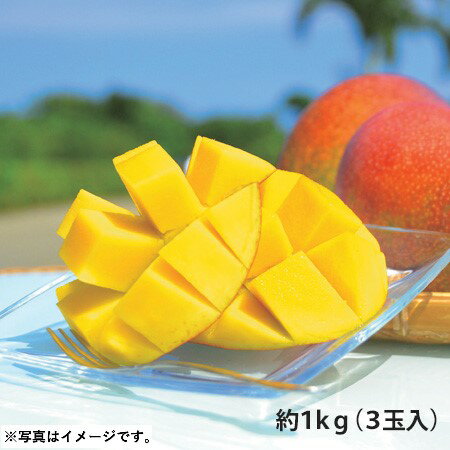 樂天商城 - 2026年 夏ギフト お中元 B044 沖縄県宮古島 マンゴ(優) 【7月中旬より順次発送】