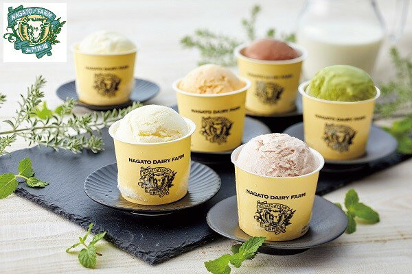 2026年 夏ギフト お中元 B293 長門牧場 自家製アイスクリーム10個セット