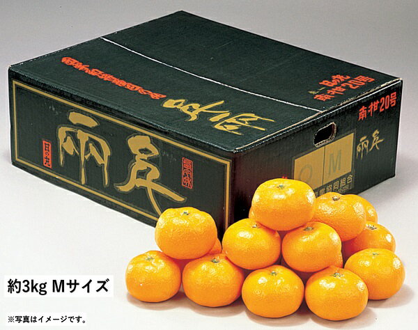 2024年 冬ギフト お歳暮 B073　愛媛県産JAにしうわ　日の丸ゴールド千両みかん 3kg Mサイズ（11月中旬より順次発送） (*)