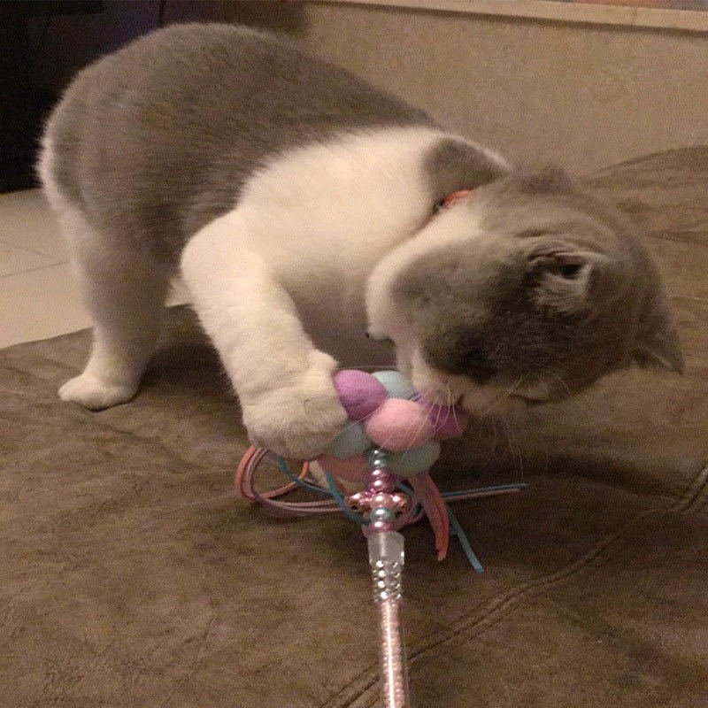 ǭ����餷��ǭ�����ڥå��ѡ�������㡡�����㥫���㡡��ư��­�����ȥ쥹��á�����å��ܡ����Ĥ�ȥ����ס�ǭ����ǽ��ɷ㡡���������̵��