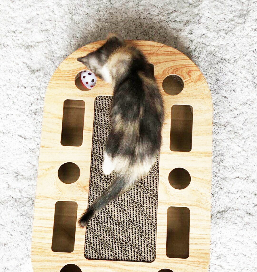 ǭ�Τ������ ���뤰���ä��ޤȤ������դ��Υܡ��뤬ǭ�α�ư��­ ���ȥ쥹 ��� ��� ͷ��ƻ�� �ڥå� ���ʡ�����դ�����̵��