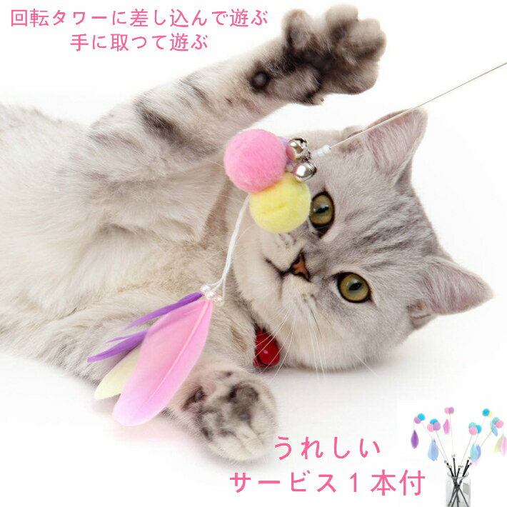 ǭ�����Τ������ ���뤰�륿� PET23���ܡ��� ��ž��� ��ư��­ ���ȥ쥹 ��� ��� ͷ��ƻ�� �ڥå� ���ʡ�����դ�����̵��