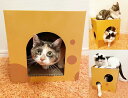 猫 爪とぎ かくれんぼハウス箱型 爪研ぎ 2枚両面使用 PET200 カラフルおしゃれ 爪磨き 段ボールベッド 壁紙対策 ねこ用つめとぎ 爪やすり 条件付き送料...