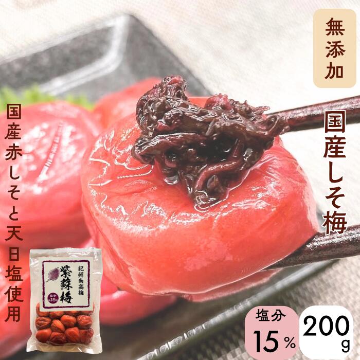 楽天市場】紀州南高梅 15％の通販
