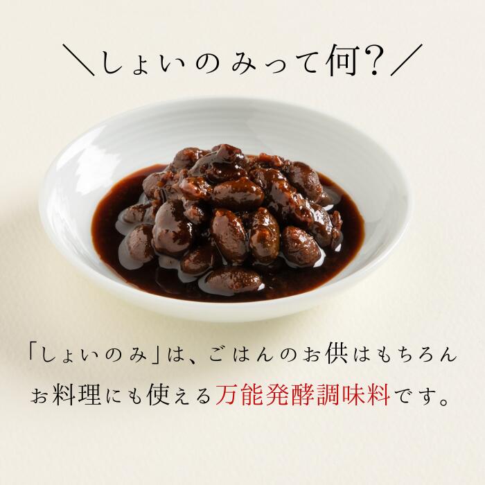 4日20時～＼20％OFF／ 醤油の実 しょうが 55g×5袋【4種麹使用】 発酵ご飯のお供 発...