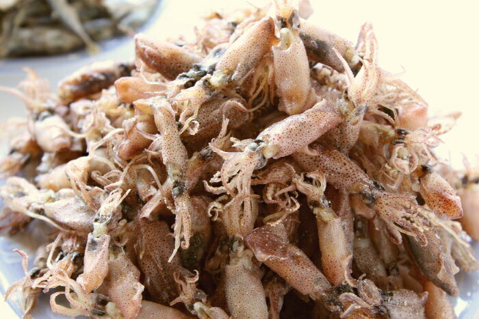 瀬戸内産 小イカちゃん いか煮干し 100g入 干物 イカ姿干し お酒 おつまみ 国産 無添加のサムネイル