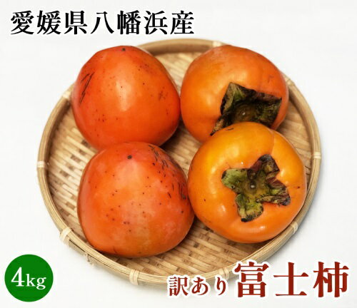 ڰɲȬȨͻٻγ4kg ̵ۡڥ·