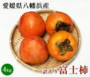 【愛媛県八幡浜産】訳あり富士柿4kg 【送料無料】【サイズ不揃い】