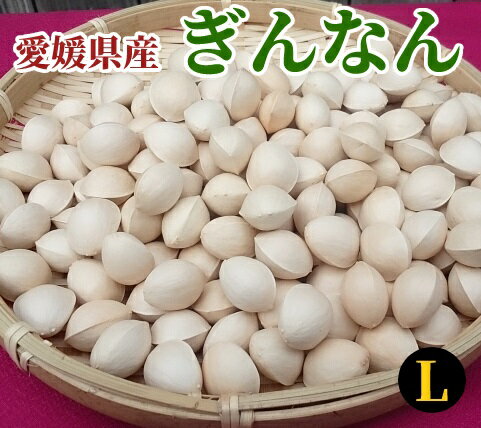【愛媛県産】天然ぎんなん（銀杏）Lサイズ(約3g) 約1kg【殻付き】のサムネイル