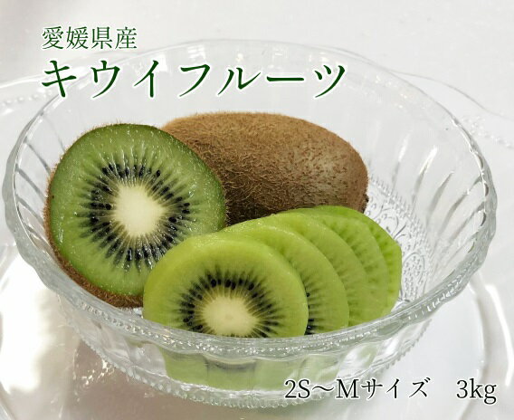 送料無料【愛媛県産】キウイフルーツ 極小3Sサイズ　3kg