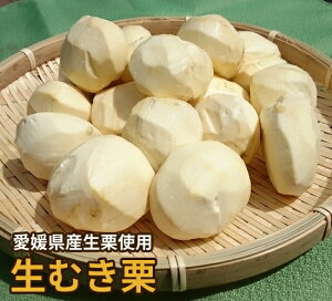 【愛媛県大洲産】天然（生）手むき栗 500g【皮剥ぎ不要・皮なし】【送料無料】