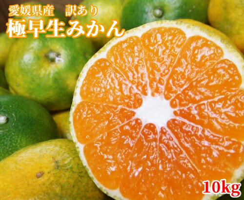 【愛媛県産】訳あり極早生みかん10kg（3S〜Lサイズ無選別）【送料無料】のサムネイル