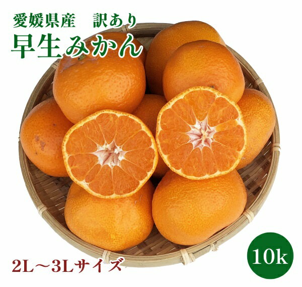 楽天市場】早生みかん 10kgの通販