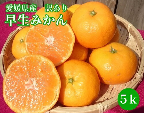 【愛媛県産】訳あり　みかん 5kg 【早生みかん】【送料無料】【2S～...(4)