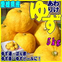 送料無料【愛媛県産】(格安・訳あり)柚子 5kg (キズ等あ...