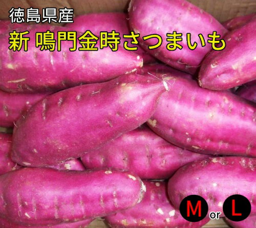 【徳島県産】新・鳴門金時芋M・Lサイズ 5kg【送料無料】(さつまいも・甘藷)