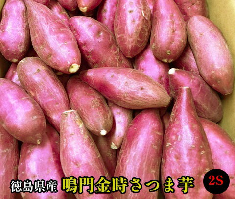 【徳島県産】送料無料・鳴門金時さつま芋2Sサイズ　5kg