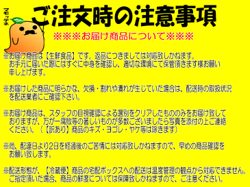 【送料無料】愛媛県産　訳あり甘夏10kg