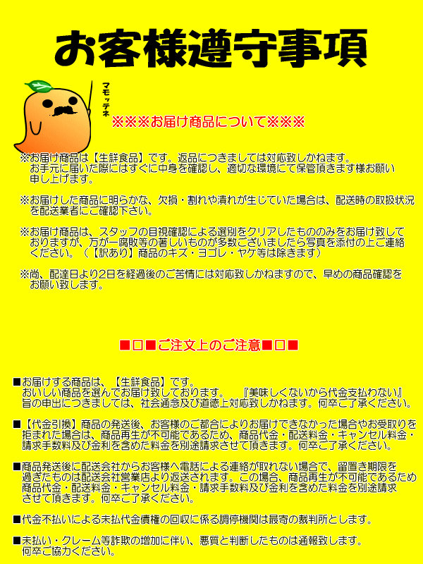 【愛媛県産】石蕗（つわぶき）新鮮・皮処理済み 900g【送料無料】