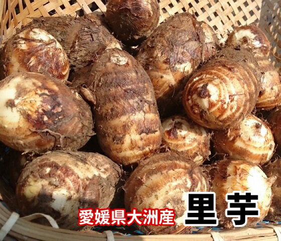 【愛媛県大洲産】里芋（女早生）2kg【送料無料】