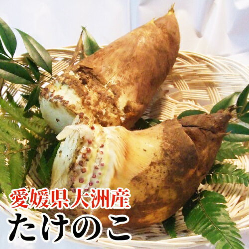 楽天市場】たけのこ(総重量(野菜)2.0 ~ 2.9kg)(その他野菜 楽天市場】たけのこ(総重量(野菜)2.0 ~ 2.9kg)(その他野菜