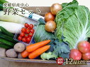 送料無料【愛媛産 四国 九州産野菜】お好み お任せ♪季節の野菜セット12品以上