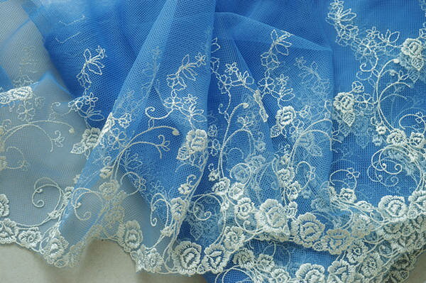 花柄　刺繍　チュールレース　幅210mm　単位50cm　＜網-ブルー＞