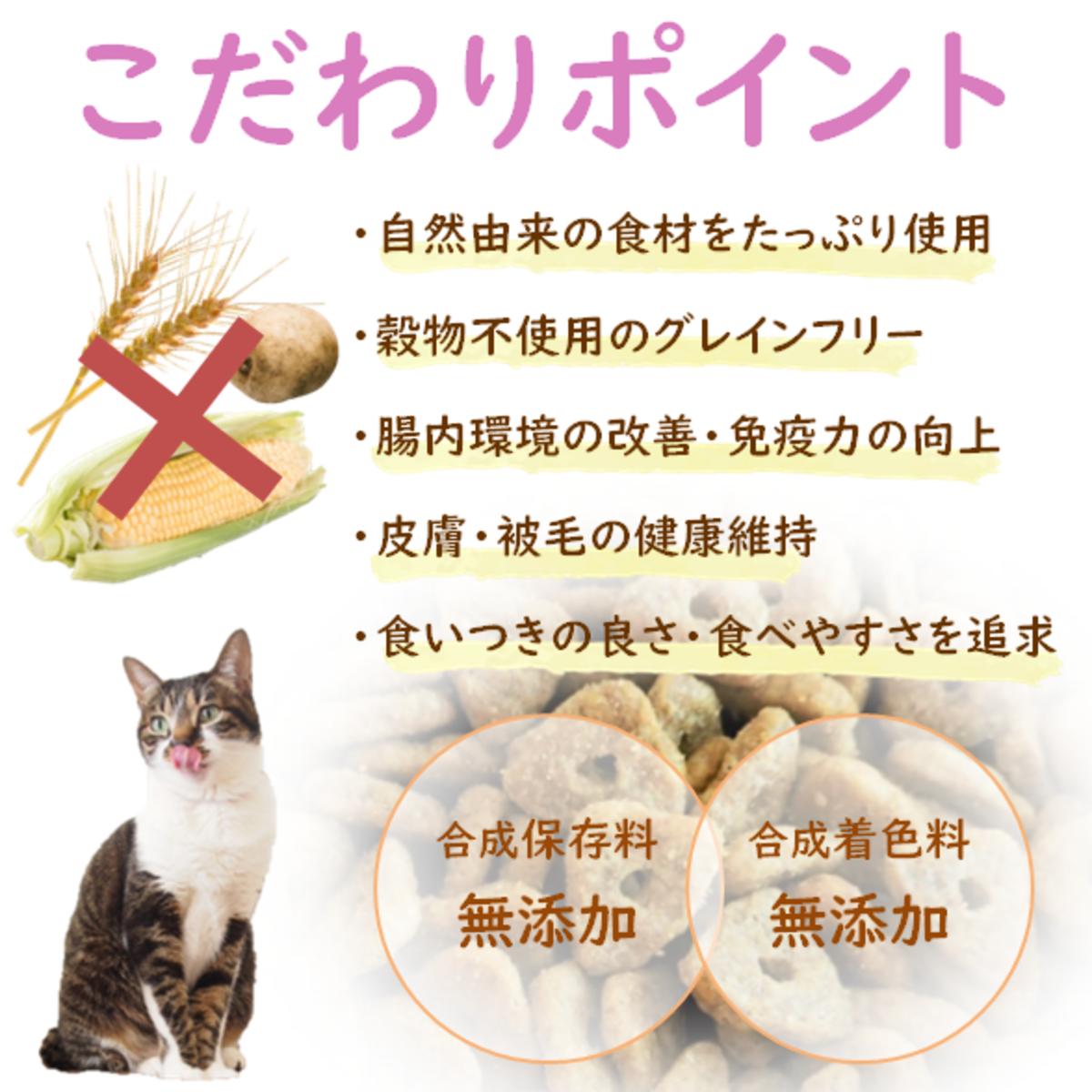 【配送日時指定不可】 トムキャット ロッキーマウンテン インドアキャット チキンレシピ お試し キャットフード 400g(100g×4) 3