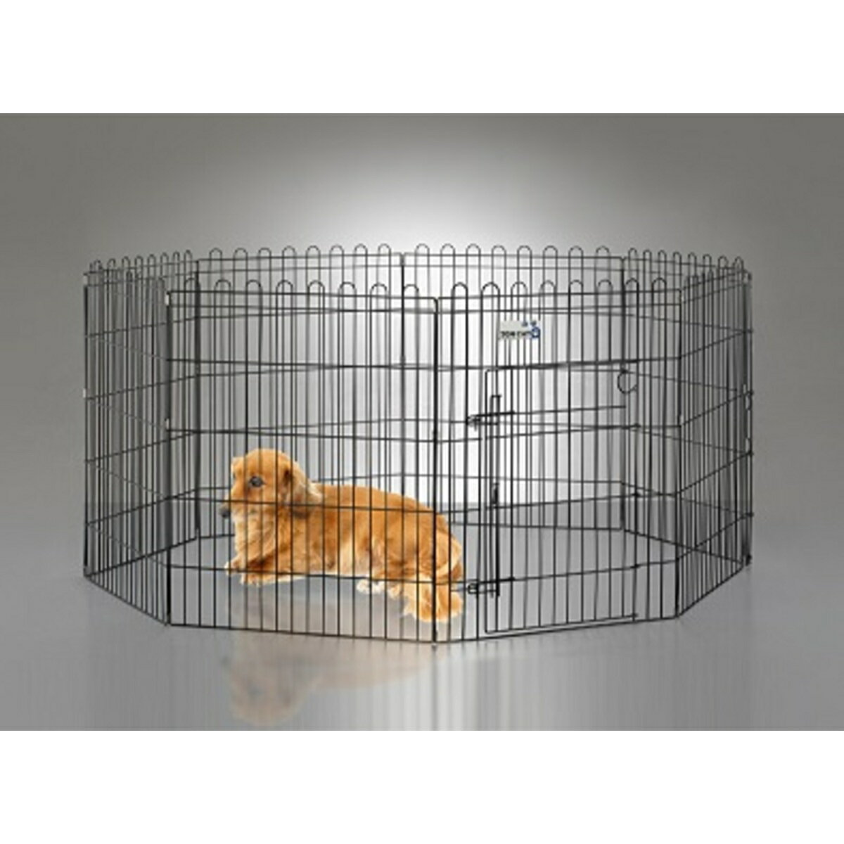 トムキャット 8面サークル DTC30 高さ76cmのサムネイル