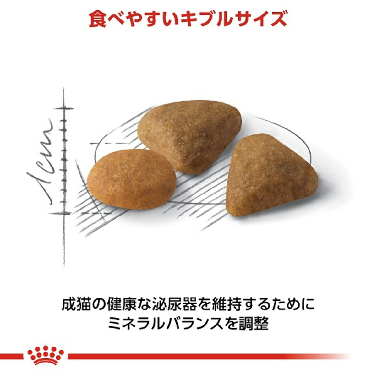 ロイヤルカナン セイバーエクシジェント 成猫用 400g×3 2