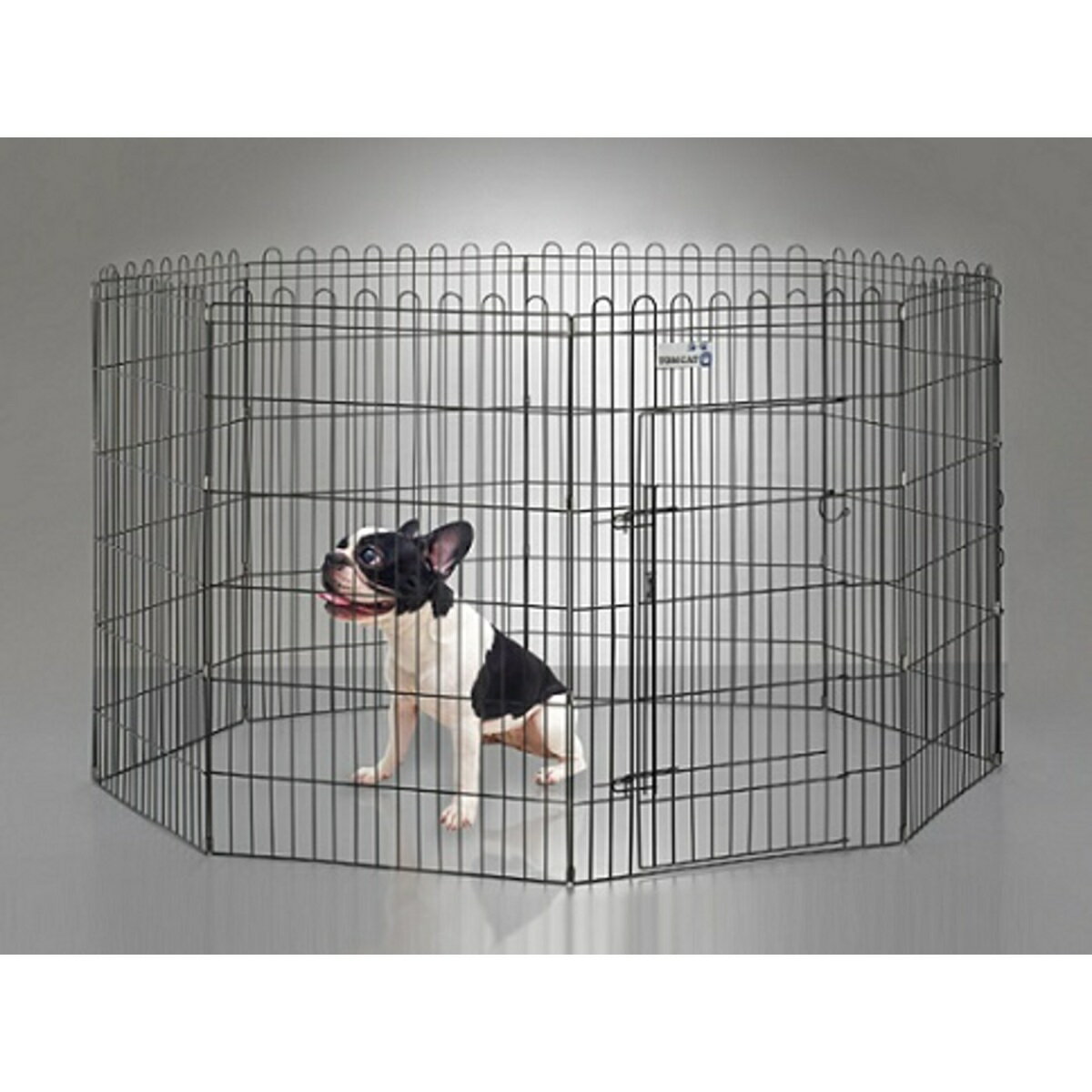 トムキャット 8面サークル DTC36 高さ91cmのサムネイル